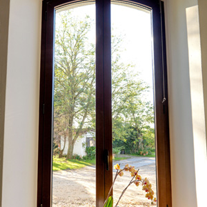 Immagine Anteprima